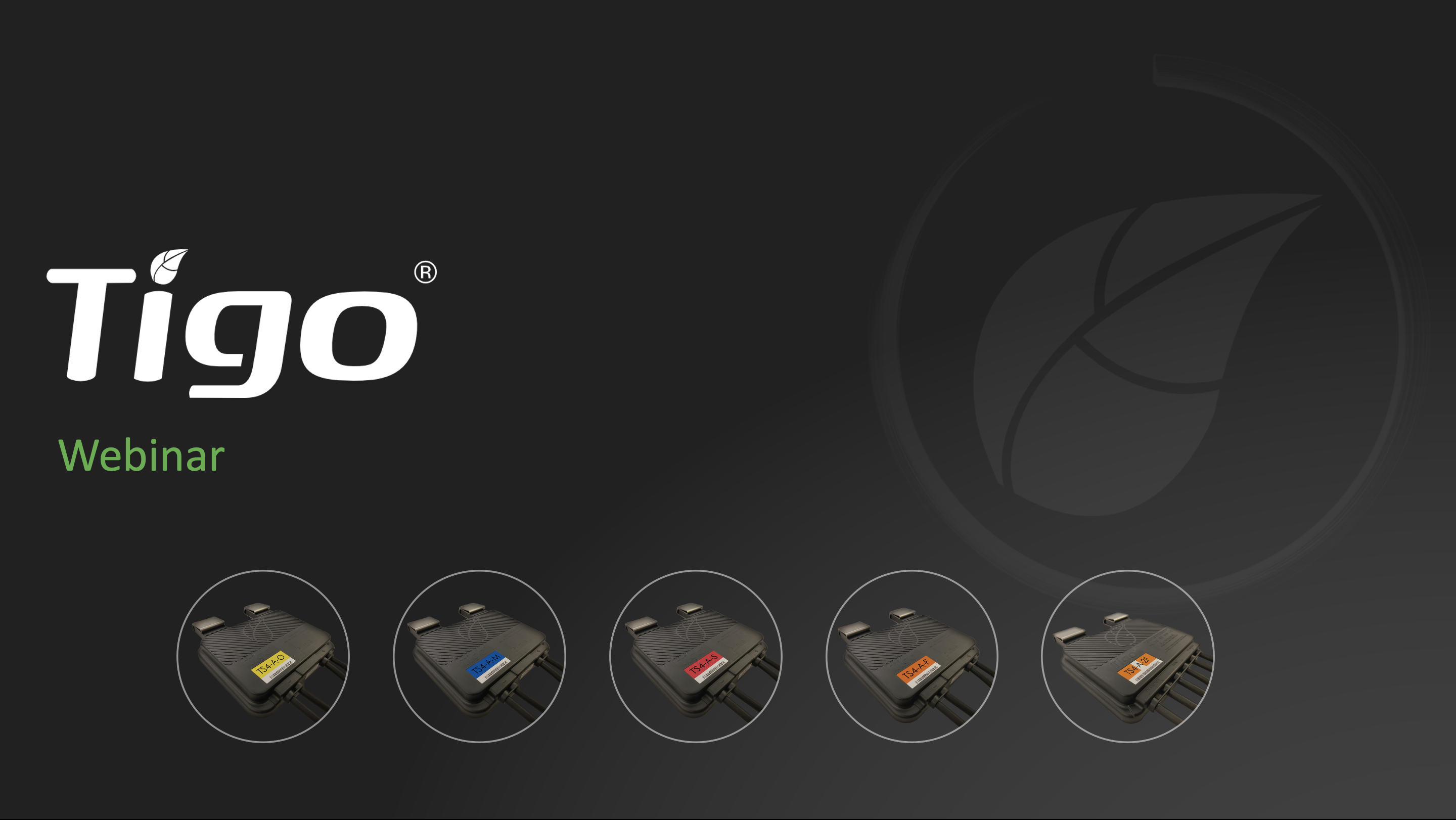 Tigo